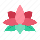 lotus, flower, lotus flower, petals, buddha, yoga, chakra, blossom, meditate