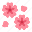 sakura, flower, floral, cherry tree, cherry blossom, cherry, blossom, petals, japanese 