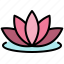 festival, flower, lotus, nature