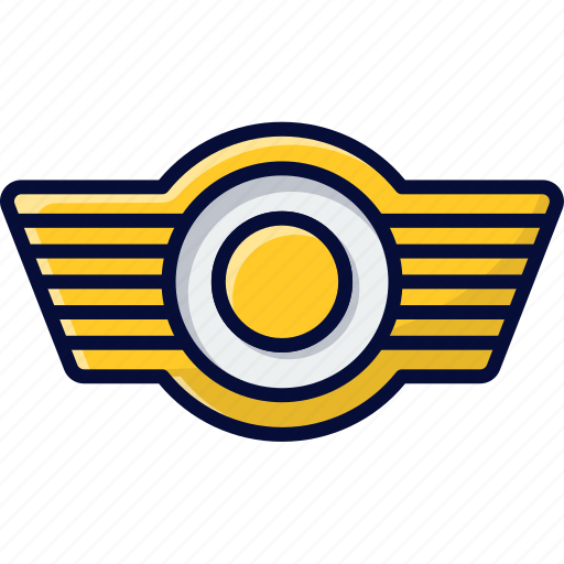 Medal, airforce, badge, honor, pilot icon - Download on Iconfinder