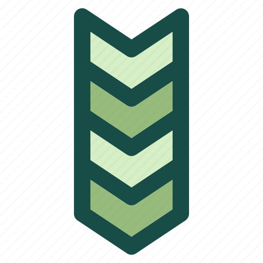 Army, badge, military, rank, soldier, veteran icon - Download on Iconfinder
