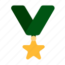 military, star, medal, appreciation