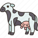 dairy, cattle, cow, milk, livestock