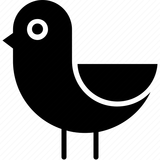 Animal, animals, bird, cute, duck, goose, pet icon - Download on Iconfinder
