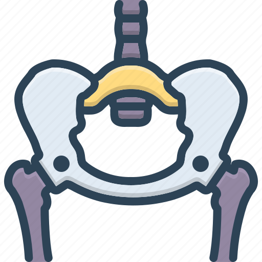 Anatomy, body, bone, hip, hyp, loin, pelvis icon - Download on Iconfinder
