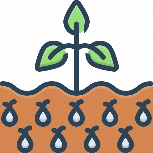 Bine, ecological, grow, plant, rooter, seed, sprout icon - Download on Iconfinder
