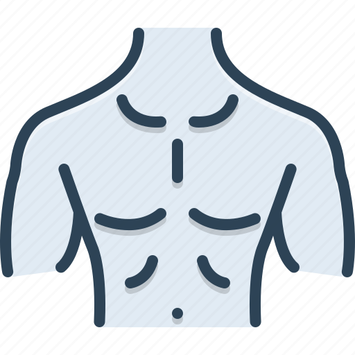 Anatomy, body, bosom, breastplate, chest, human, man icon - Download on Iconfinder