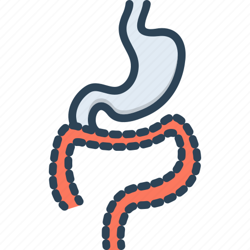 Tract, system, digestive, intestine, organ, stomach, gastro icon - Download on Iconfinder