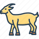 goat, farm, animal, dairy, domestic, hooves, cattle