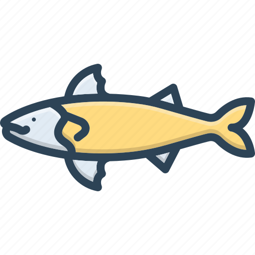 Atlantic, fish, aquatic, tuna, seafood, animal, ocean icon - Download on Iconfinder