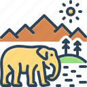 wildlife, animal, elephant, mountain, sunrise, forest, flora and fauna
