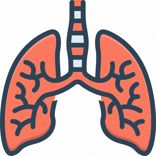 Lung, cancdisease, treatment, breath, pulmonary, bronchi, respiratory icon - Download on Iconfinder