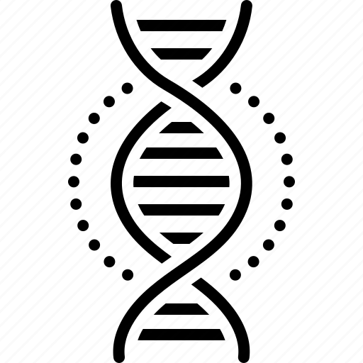 Gene, dna, chromosome, code, genotype, helix, structure icon - Download on Iconfinder