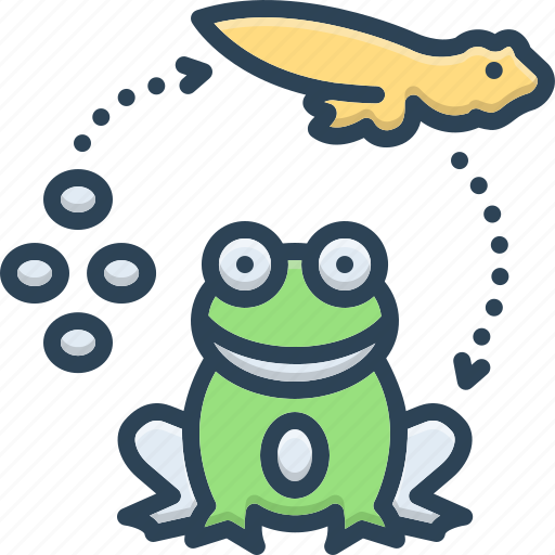 Reproduced, beget, tadpole, froglet, amphibian, larva, life cycle icon - Download on Iconfinder