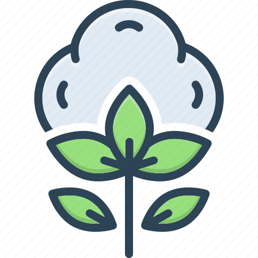 Cotton, flower, plant, fabric, features, clothing, natural material icon - Download on Iconfinder