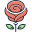 rose, petals, horticultural, flower, rose bush, musk rose, symbol of love 