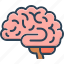 brain, cerebrum, intellectual, psychology, neurology, mind, brainstorm 