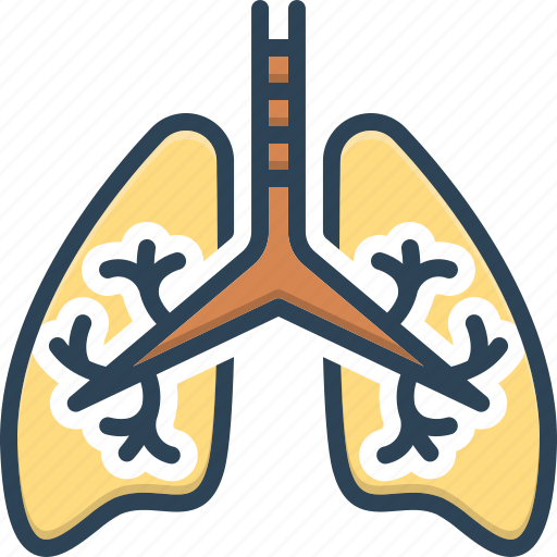 Respiratory, inhaling, panting, wheezing, gasping, lungs, pulmonary icon - Download on Iconfinder
