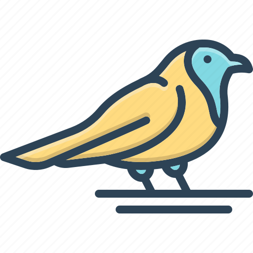 Robin, passerine, thrushes, migratory, american, reddish, flycatcher icon - Download on Iconfinder