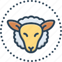 head, sheep, domestic, lamb, animal, wool, getting wool from sheep