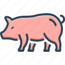 pig, hog, boar, porker, swine, piglet, piggy
