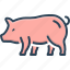 pig, hog, boar, porker, swine, piglet, piggy 