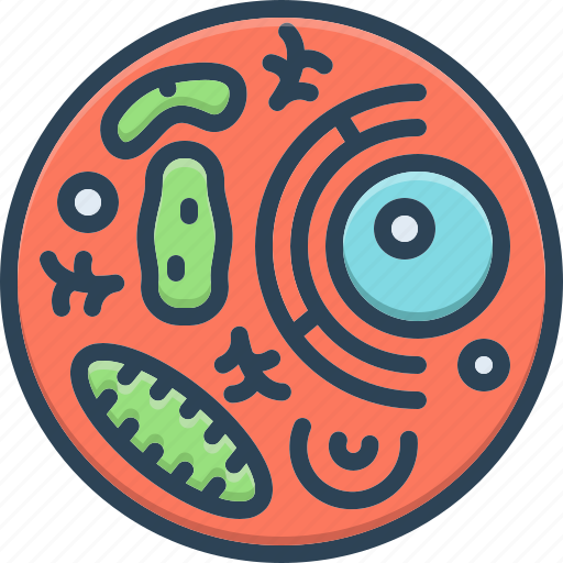 Cell, germ, bacterium, microorganism, membrane, erythrocytes, biological cell icon - Download on Iconfinder