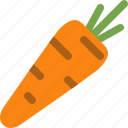 carrot, healthy, organic, vegan, vegetable, vegetarian