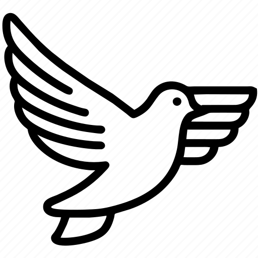 Dove, animal, peace, writing, journalism, freedom, hope icon - Download on Iconfinder