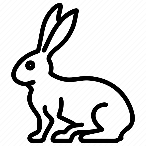 Hare, animal, pet, bunny, easter, spring, jack icon - Download on Iconfinder