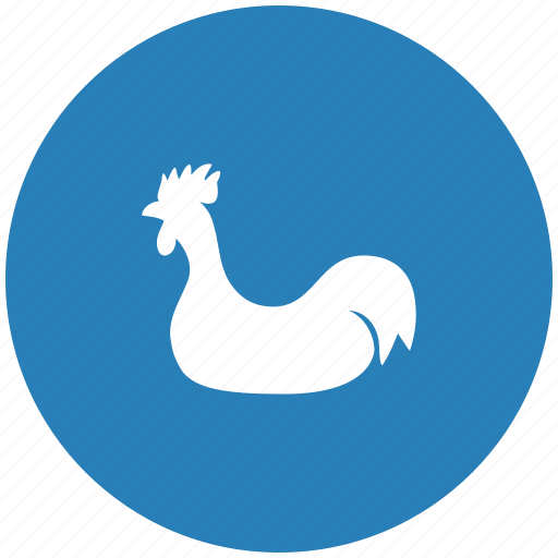 Bird, chick, chicken, cock, round icon - Download on Iconfinder