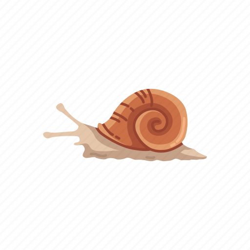 Animal, land snail, mollusc, mollusk, sea snail, shell, snail icon - Download on Iconfinder