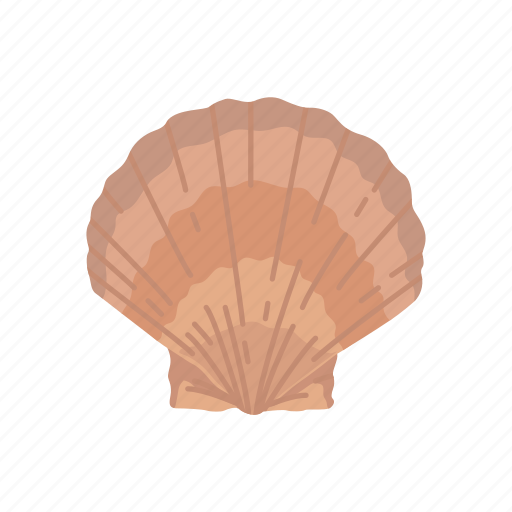 Marine animal, ornament, scallop, scallop shell, seafood, shell icon - Download on Iconfinder