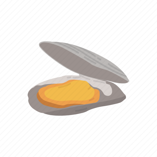 Clam, mollusc, mollusk, mussel, pearl mussel, seafood, shell icon - Download on Iconfinder