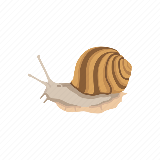 Animal, land snail, mollusc, mollusk, sea snail, shell, snail icon - Download on Iconfinder