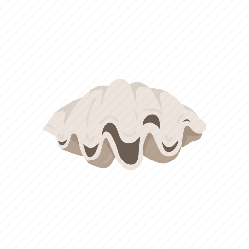 Clam, food, marine animal, mollusc, seafood, seashell, shell icon - Download on Iconfinder