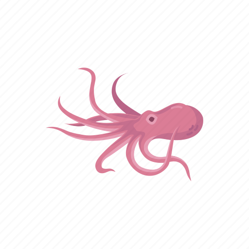 Animal, food, marine animal, mollusc, mollusk, octopus, seafood icon - Download on Iconfinder