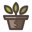 business, flower, investment, money, pot, vase 