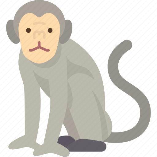 Monkey, wildlife, animal, transmission, nature icon - Download on Iconfinder