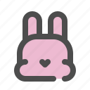 rabbit, bunny, hare, cute