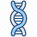 genetics, genome, dna, rna, biology, chromosome, genetic, human, molecule