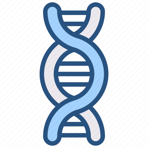 Genetics, genome, dna, rna, biology, chromosome, genetic icon - Download on Iconfinder
