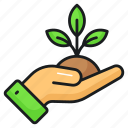 plant, sprout, care, nature, hand, leaves, gardening