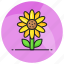 sunflower, flower, floral, plant, petals, helianthus, blooming 