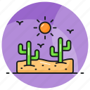 desert, sun, cactus, sunshine, sand, sunny, day