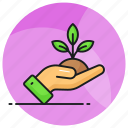plant, sprout, care, nature, hand, leaves, gardening