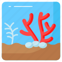 coral, reef, underwater, invertebrate, creature, ecosystem, marine