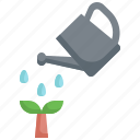 plant, watering, can, water, ecology, environment, tree