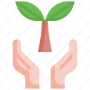 plant, hand, ecology, environment, eco, hands, nature