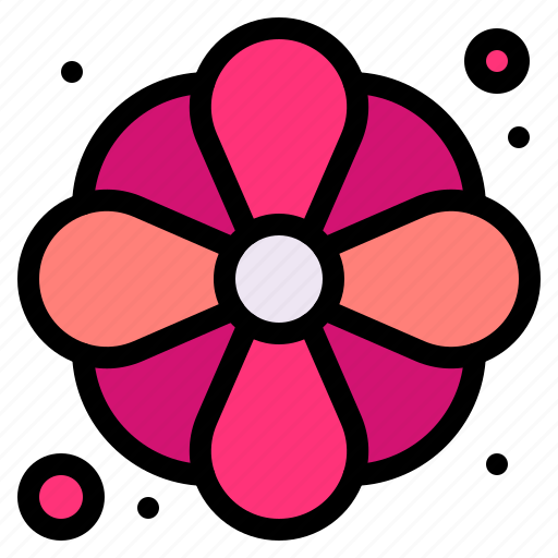 Flower, daisies, petals, botanical, flowers icon - Download on Iconfinder